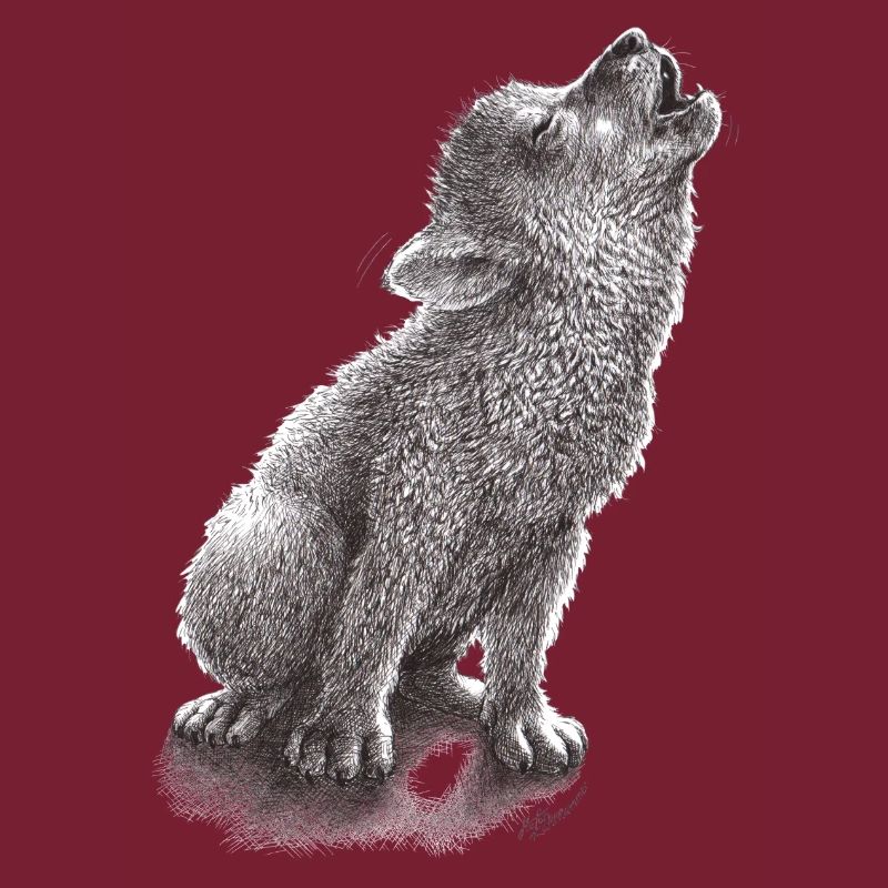 Junger heulender Wolf