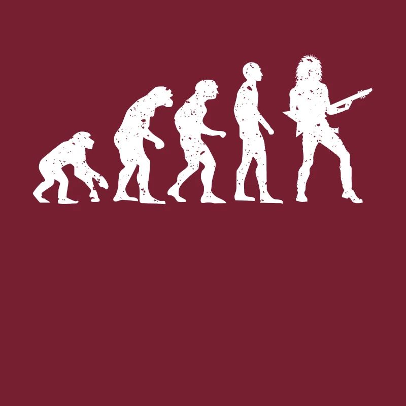 EVOLUTION GUITARISTE!
