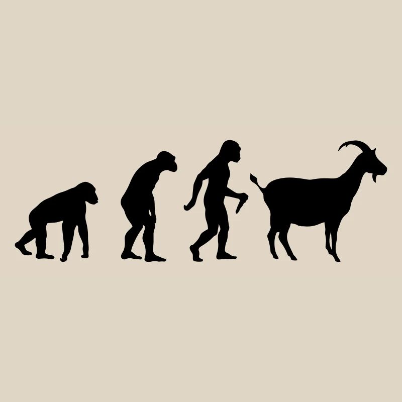 L'évolution de la chèvre