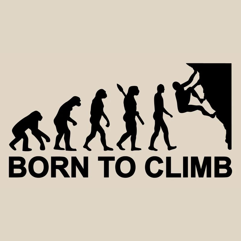 Évolution Escalade