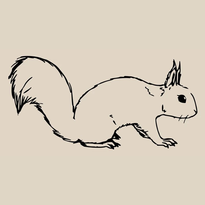 Squirrel
