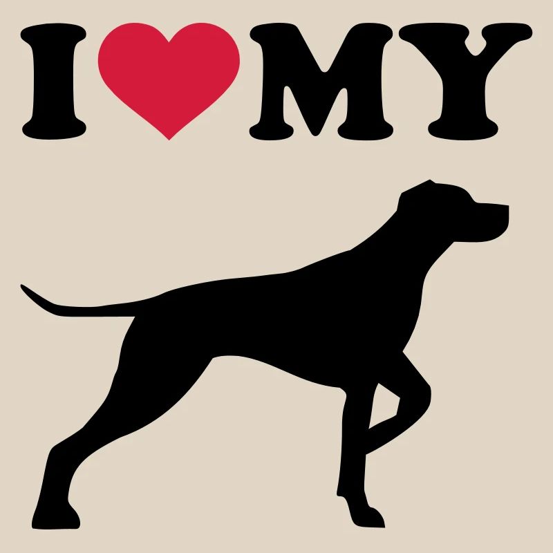 German Shorthaired Pointer