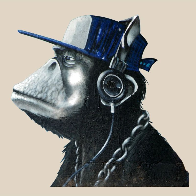 Monkey graffiti by CustomStyle