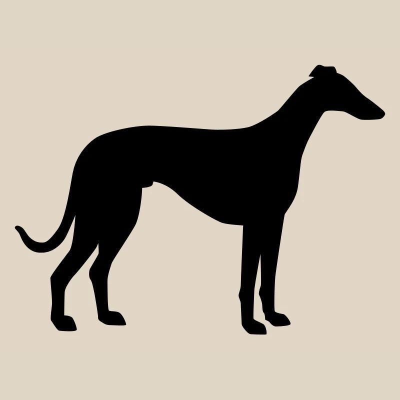 Lévrier