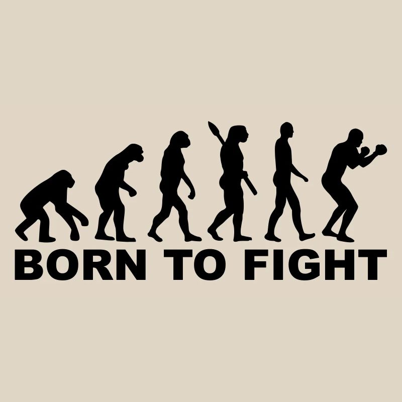 Boxen Evolution