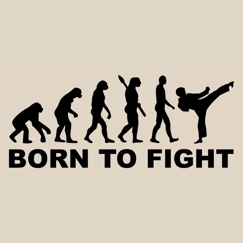 Evolution Karate