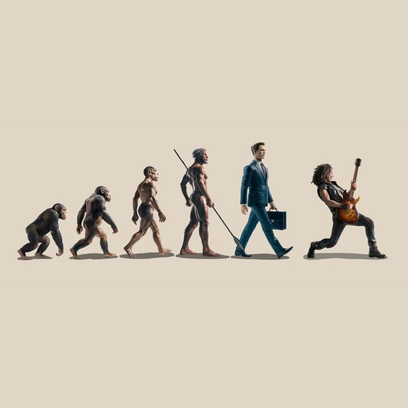 Evolution Guitariste
