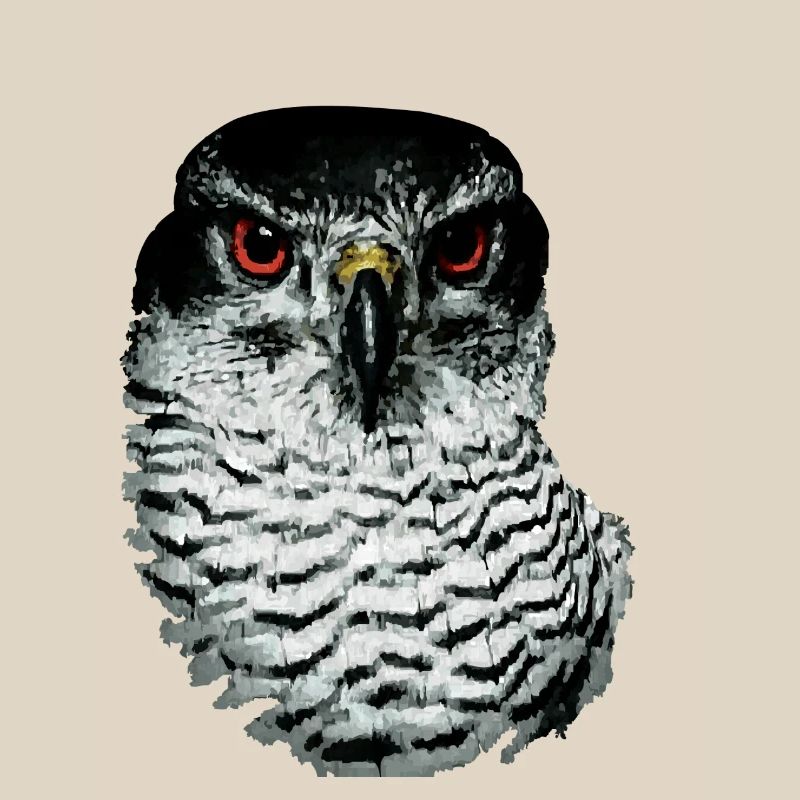 Greifvogel-01