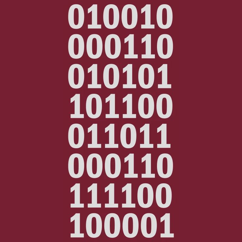 Binary Code Program Language