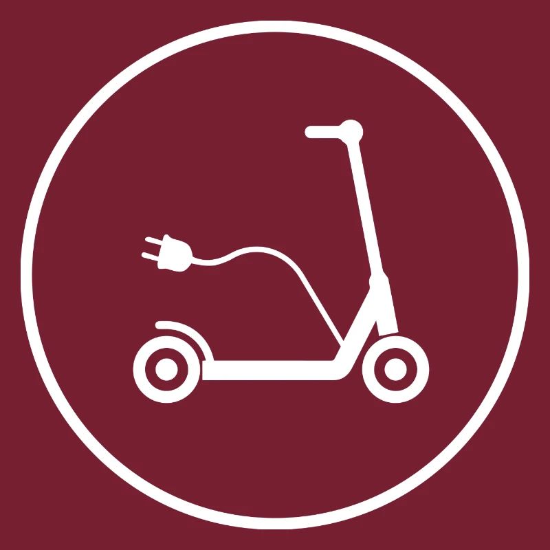 E-Scooter E-Roller Scooter