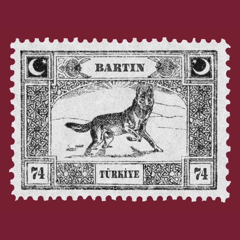 Bartın