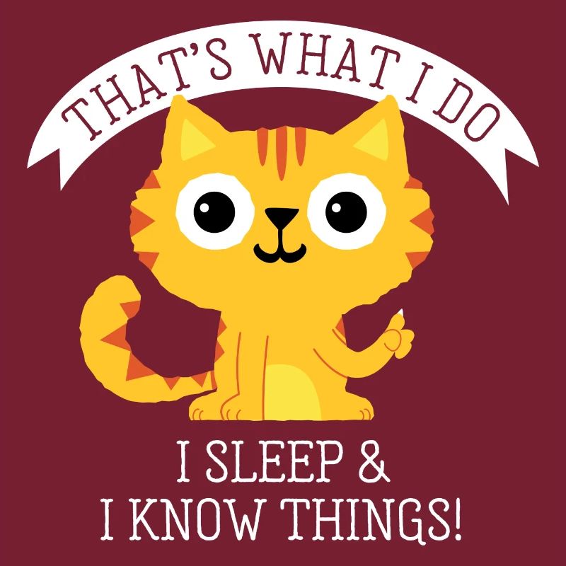 I sleep and know things - Lustiger Katzen Spruch