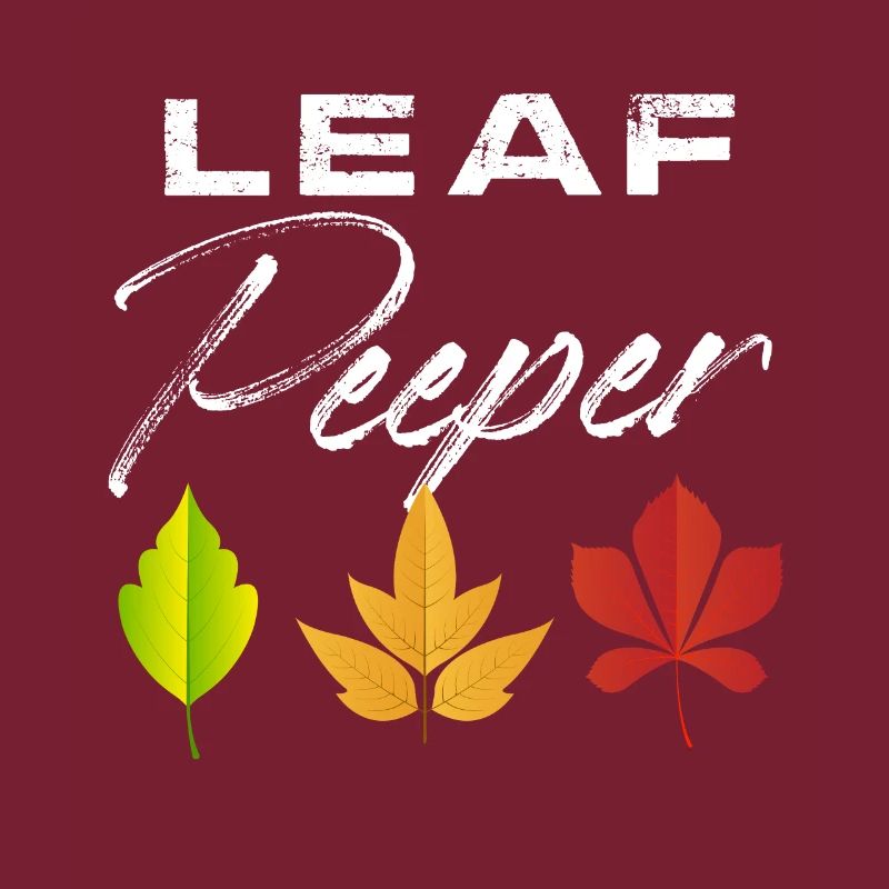 Leaf Peeper Automne saison Peeping feuilles
