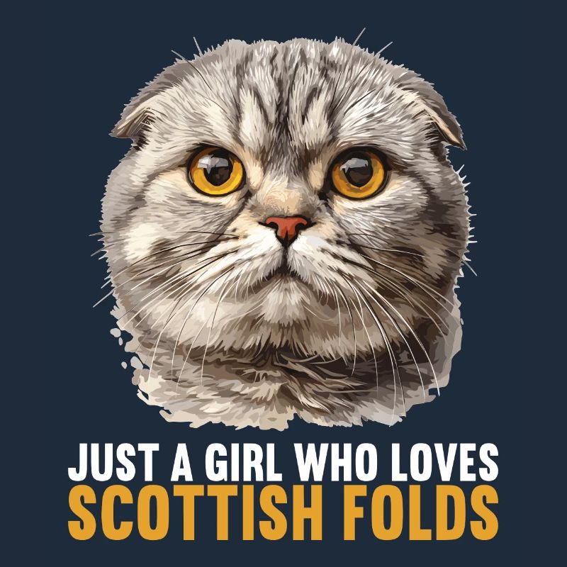 Scottish Fold Kitten Scottish Fold chat