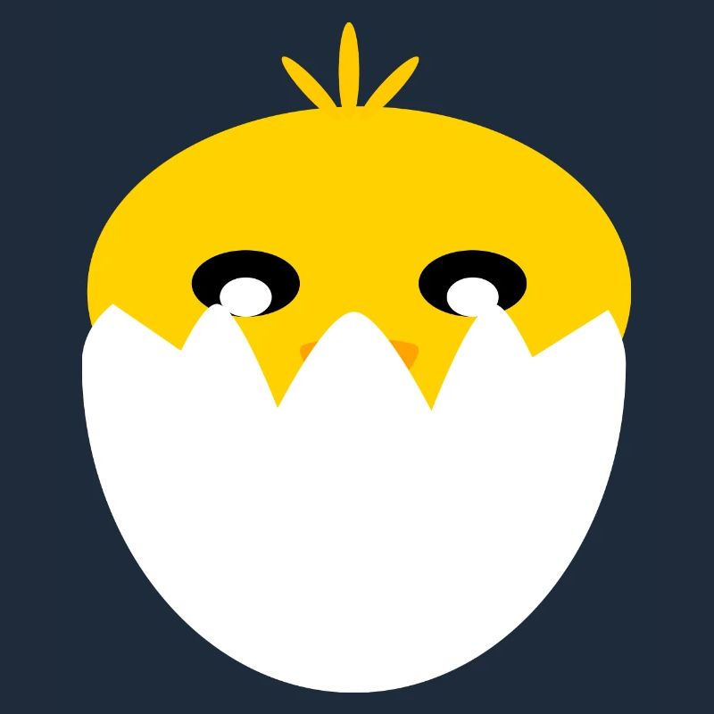 Chicks from the egg