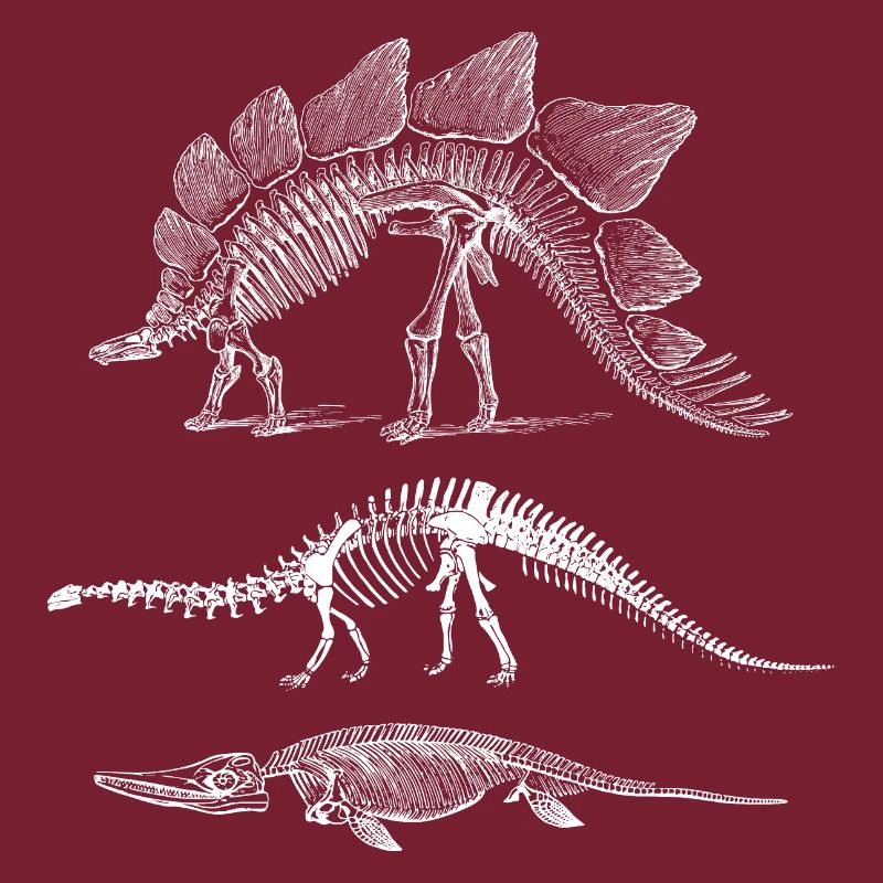 Dinosaurier Evolution