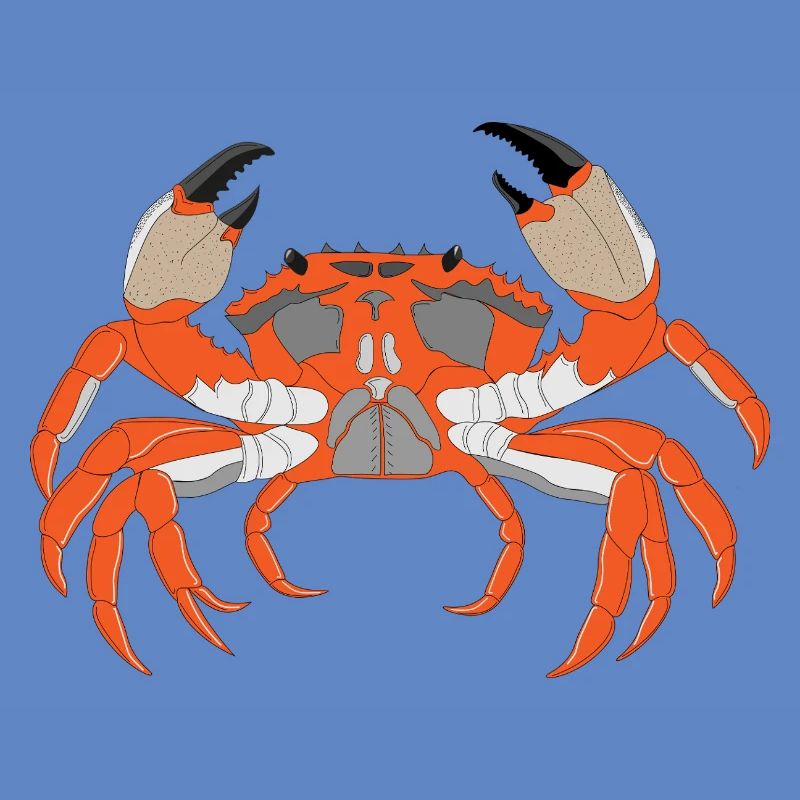 Empreinte de crabe