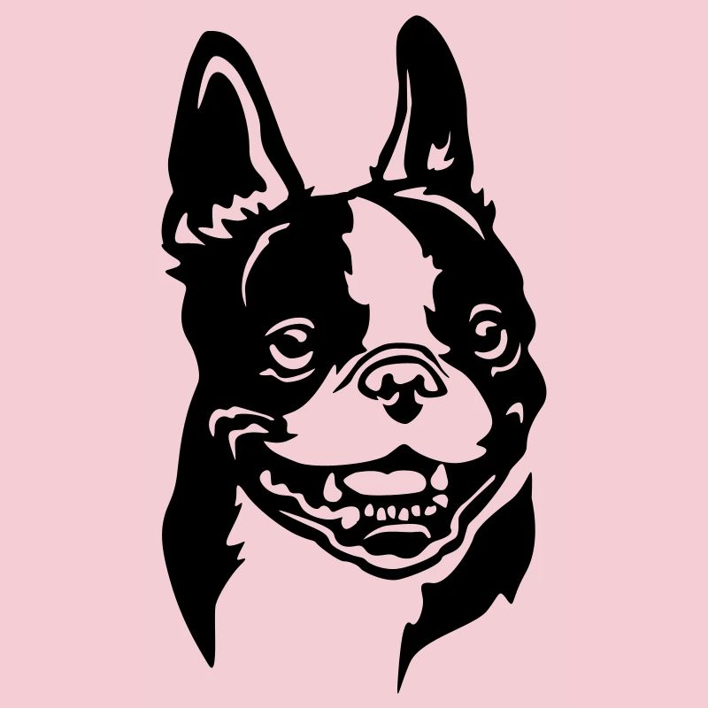 Boston Terrier Head