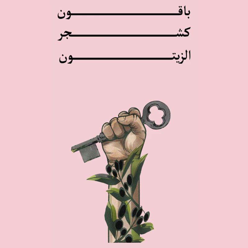 Solid like Oliven trees