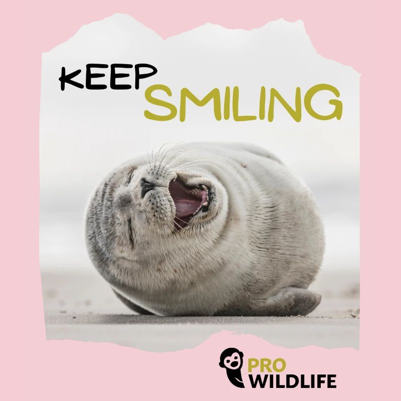 KEEP SMILING Robbe