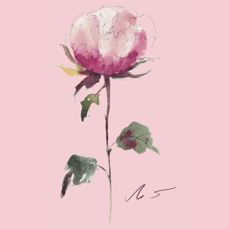 Peony Promise