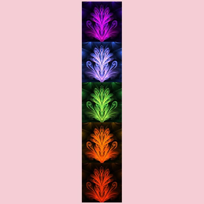 Nightflower Monkeyface