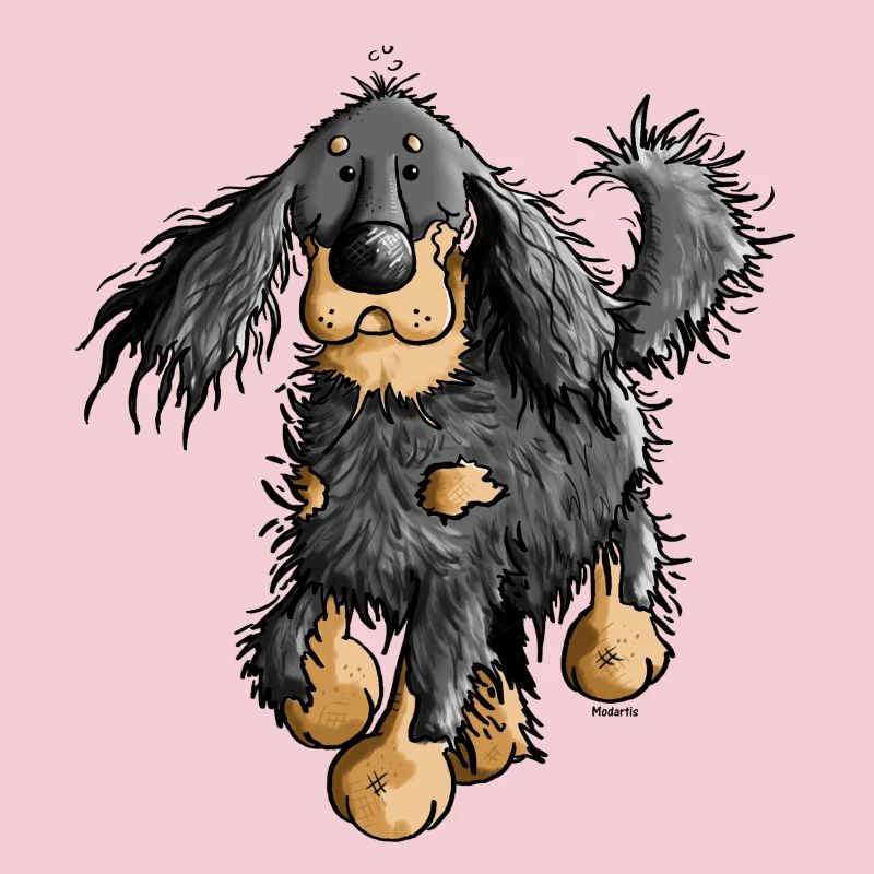 Flinker Gordon Setter - Hund
