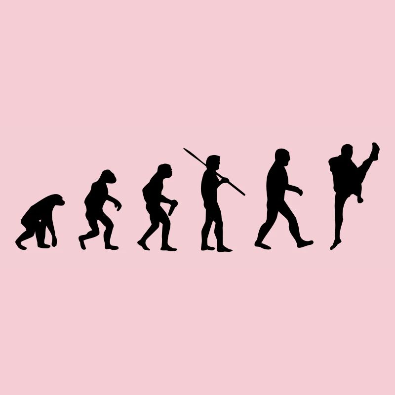 Martial Arts Evolution