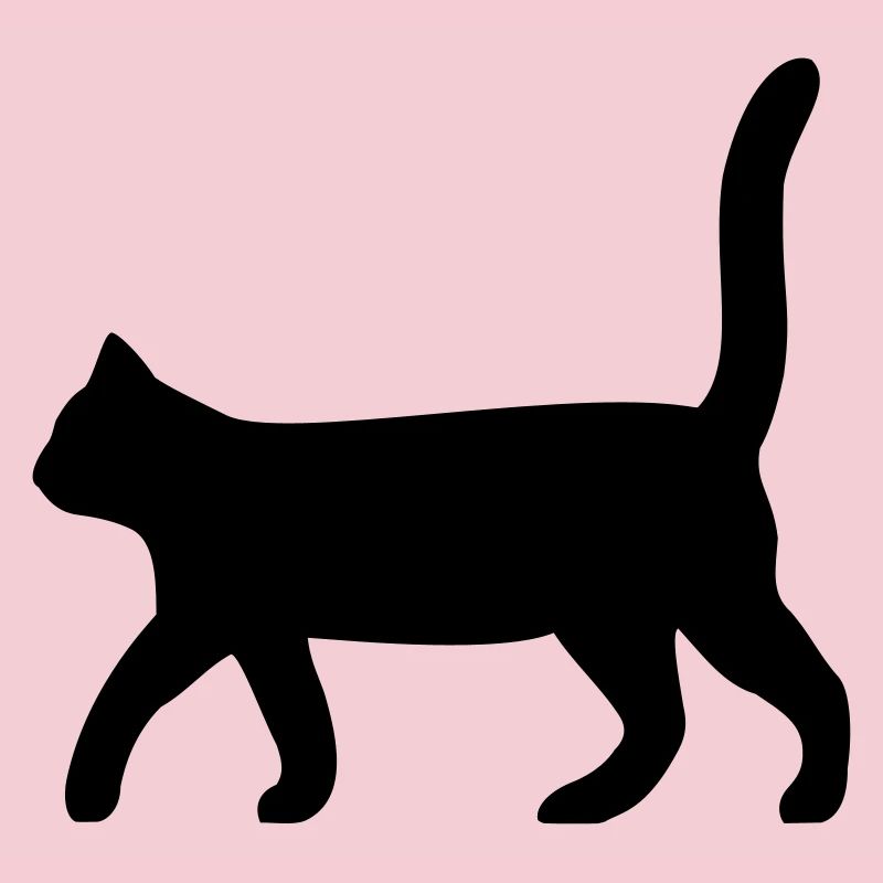 Chat noir