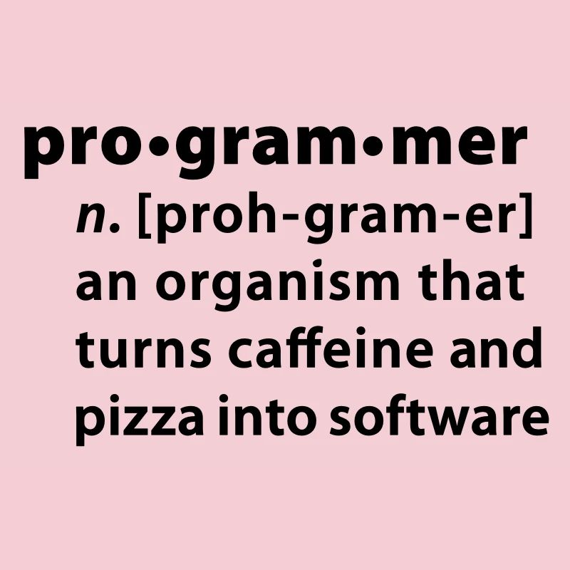 Program definition - the definition Programmer