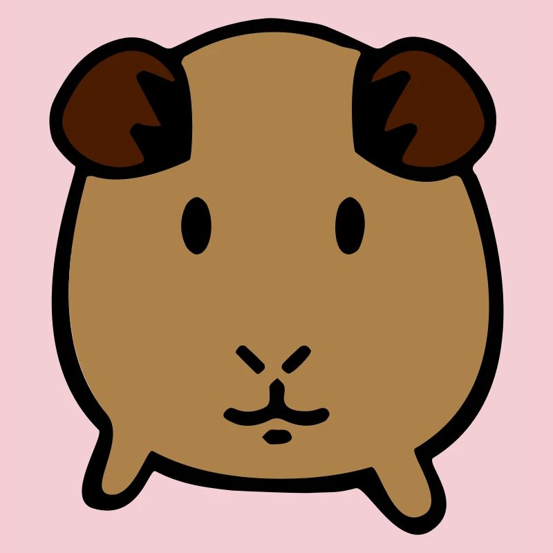 guinea pig