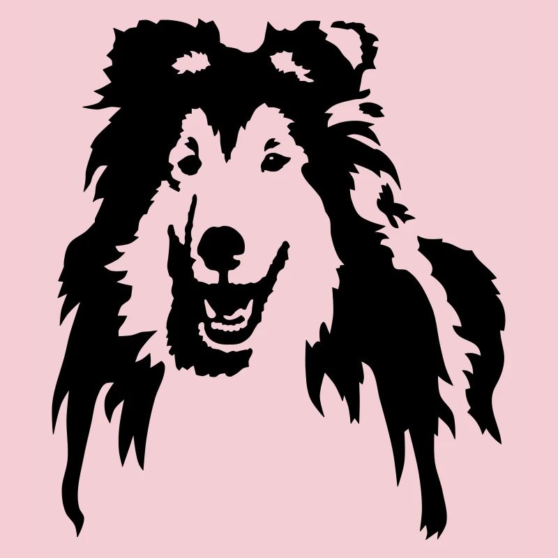 Collie