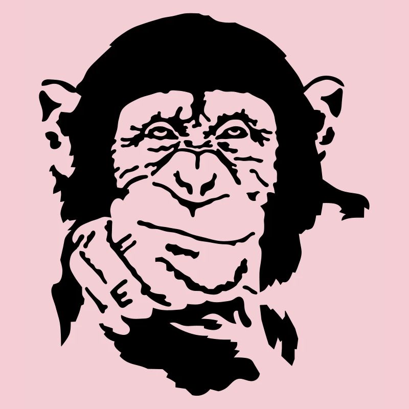 monkey
