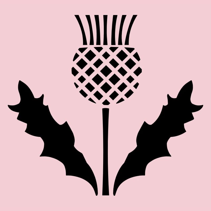 Scottish Thistle