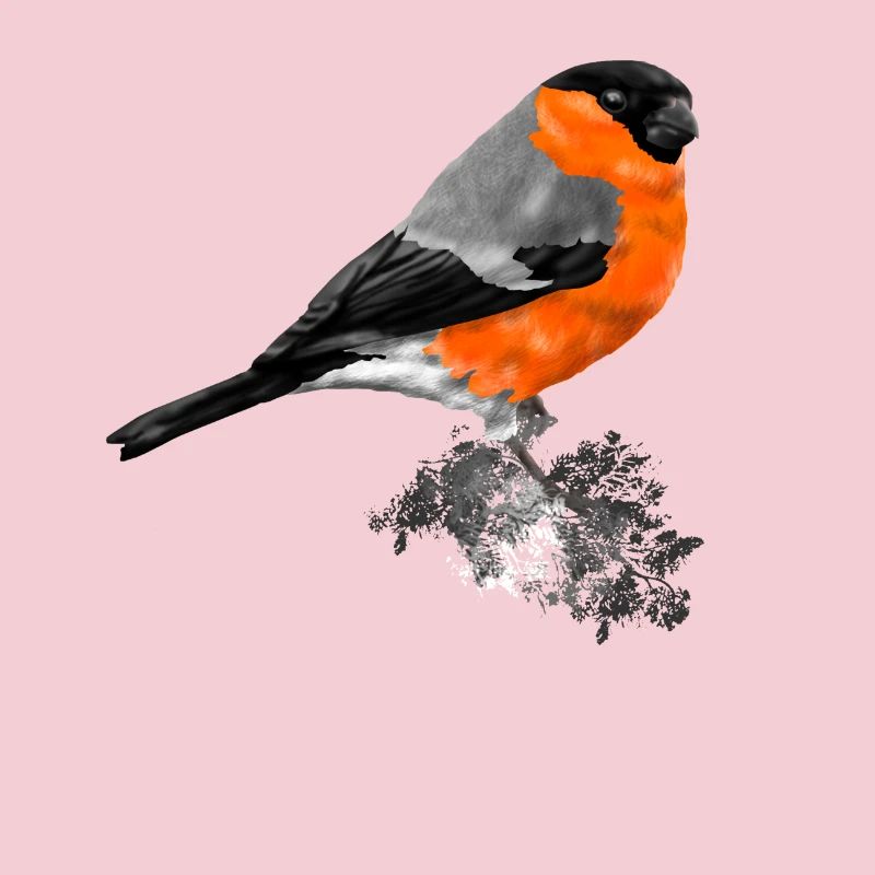 oiseau