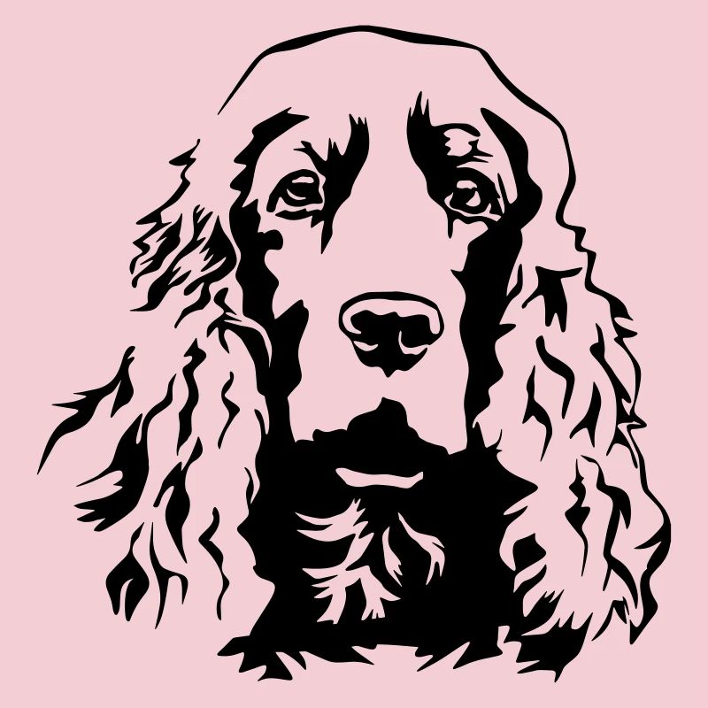 Cocker Spaniel Kopf
