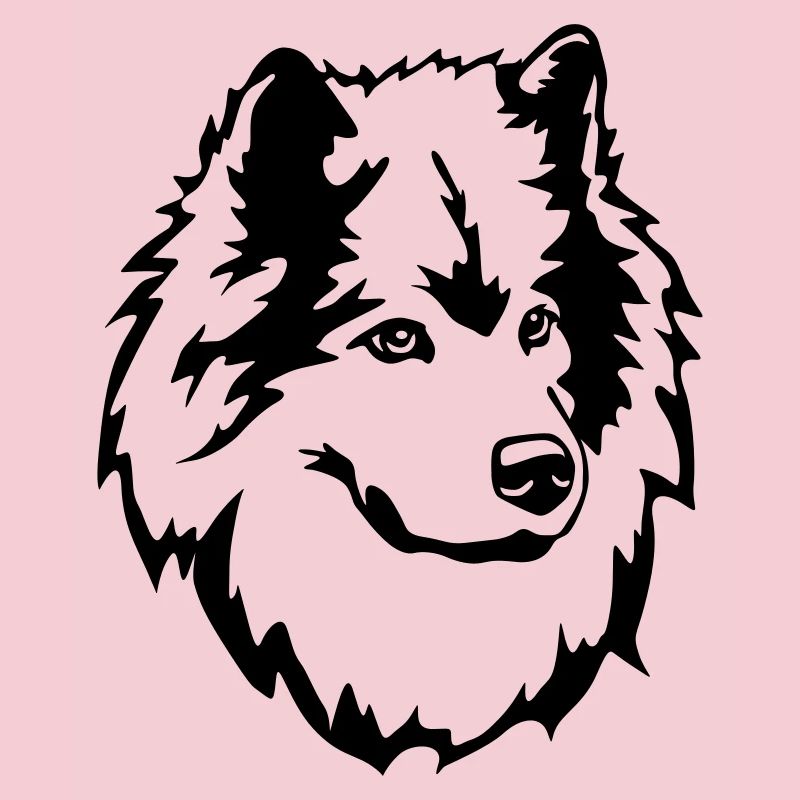 Eurasier Kopf