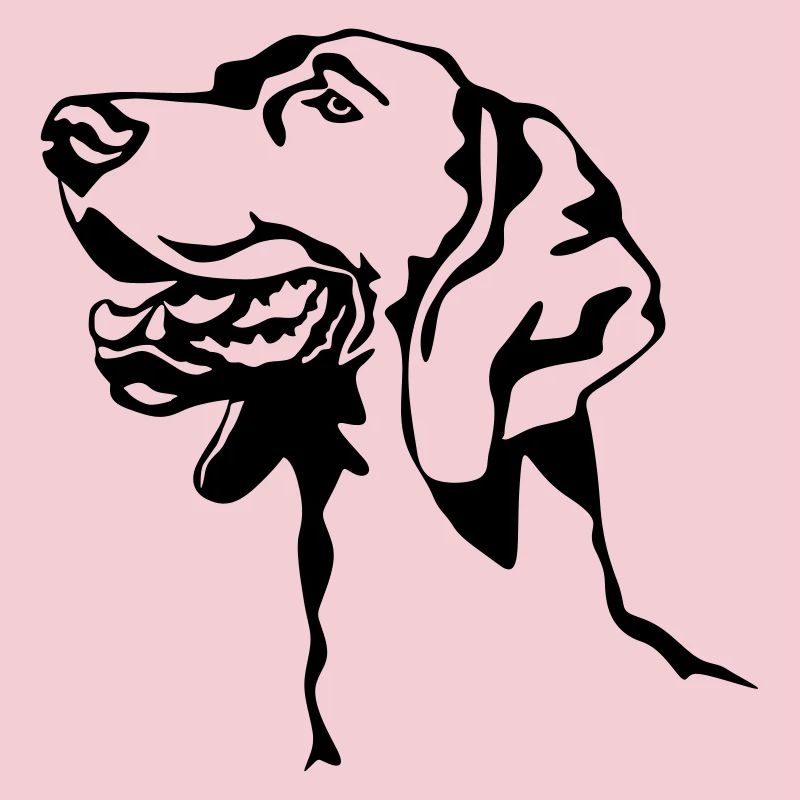 Weimaraner Kopf