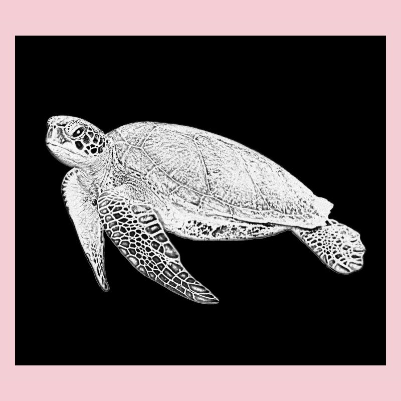 Schildkröte