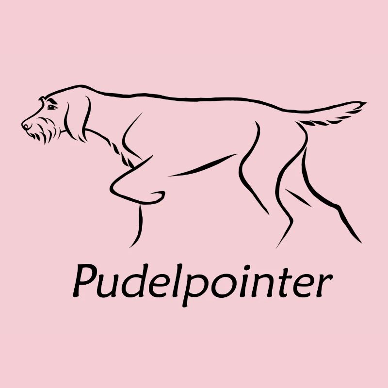 Pointeur caniche