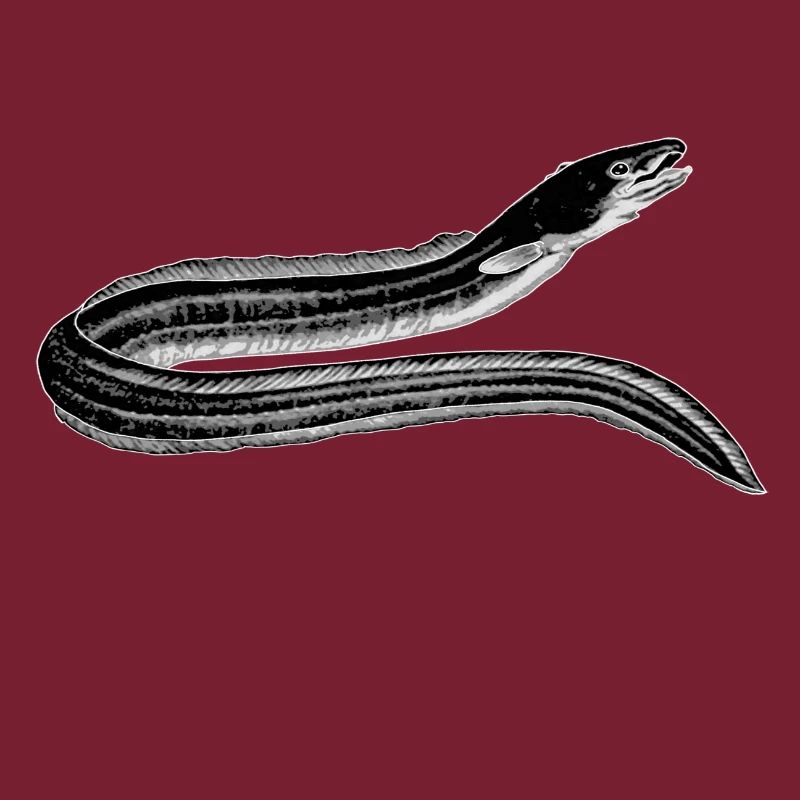 eel