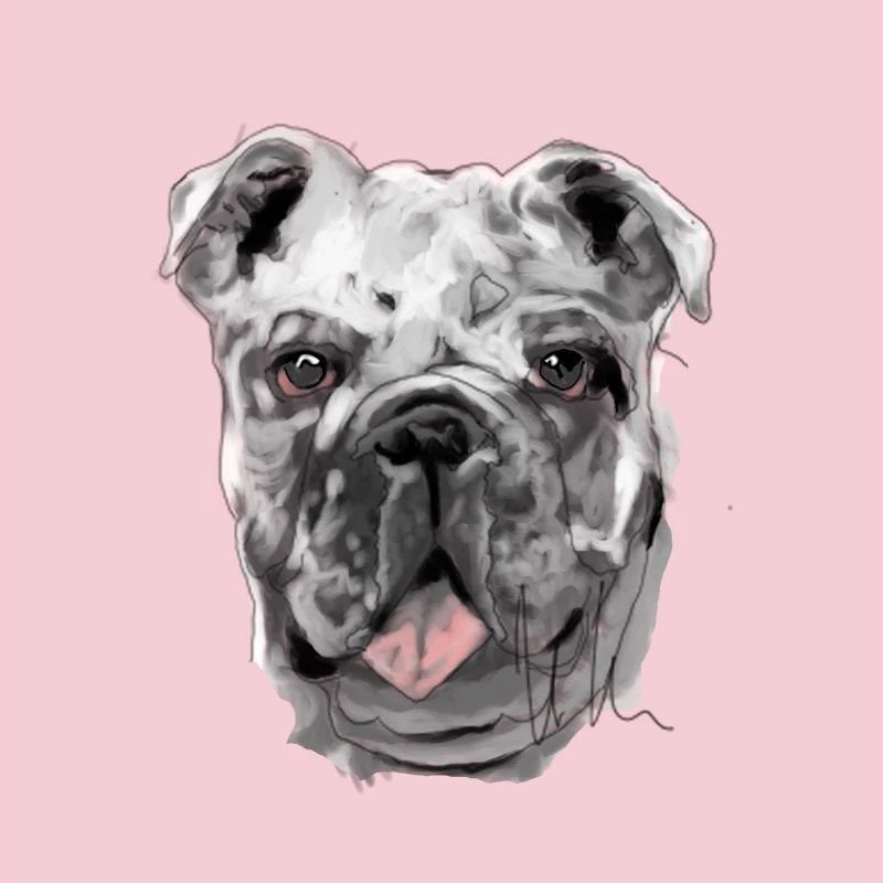 Bouledogue