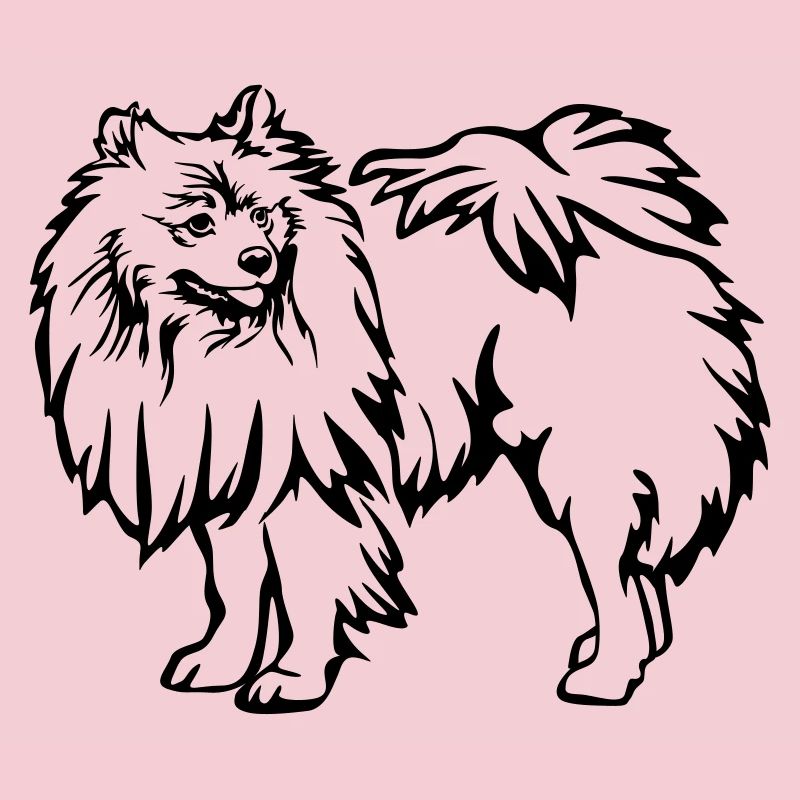 Spitz