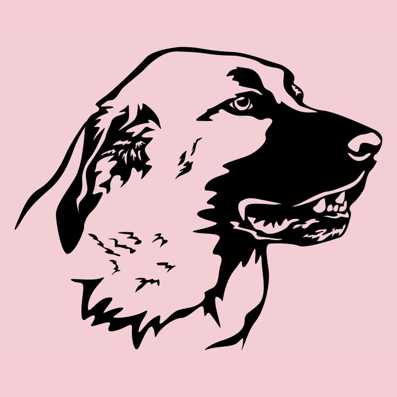 Kangal Head