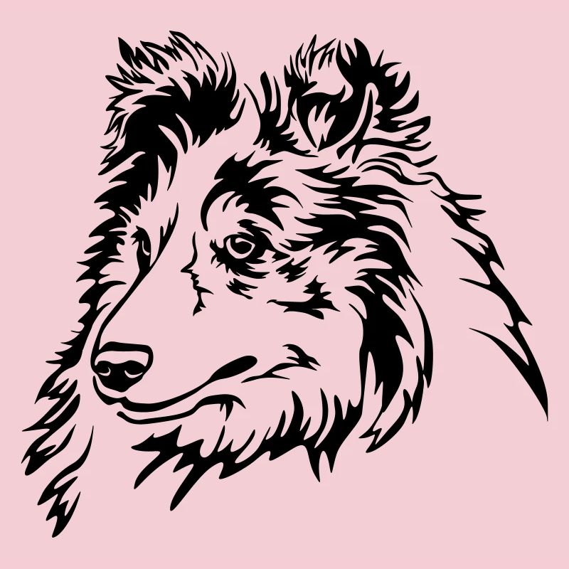 Sheltie Head
