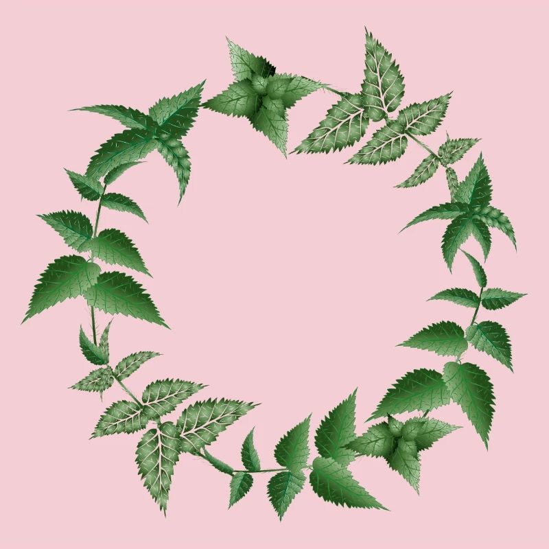 Couronne d’ortie dans des tons sombres de vert