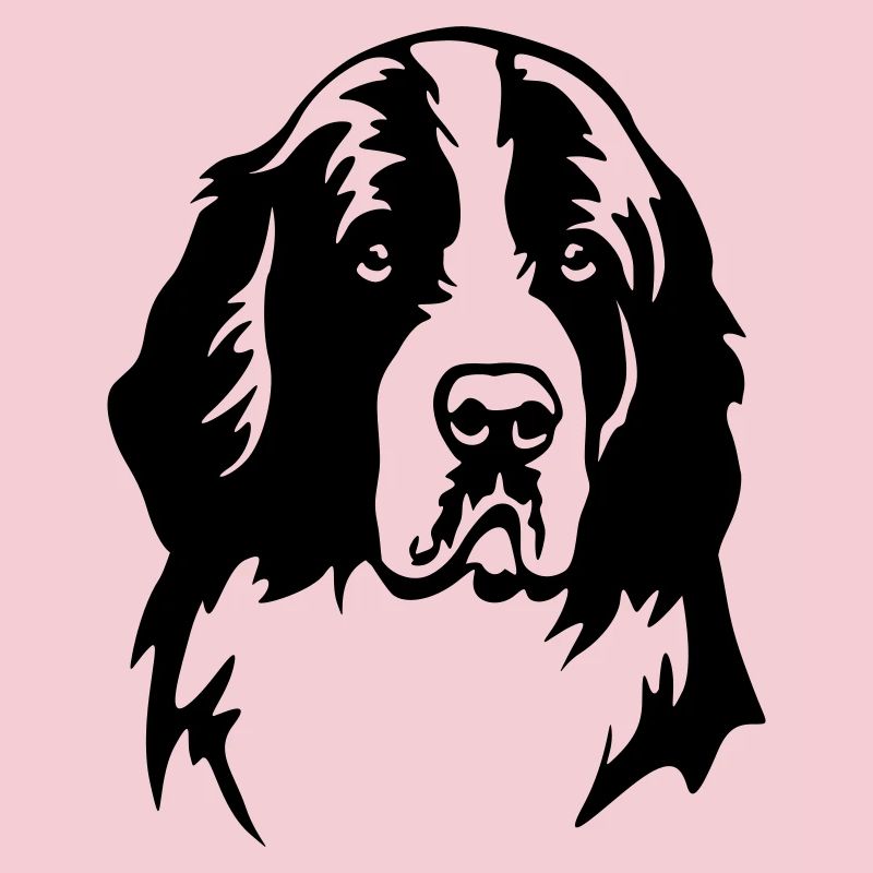Landseer Kopf