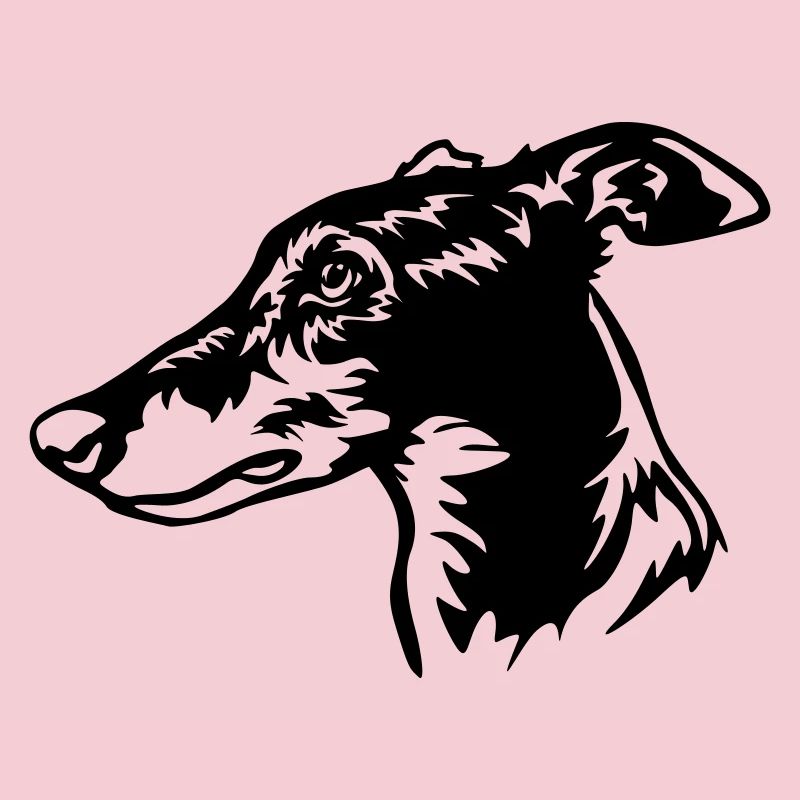Greyhound Kopf