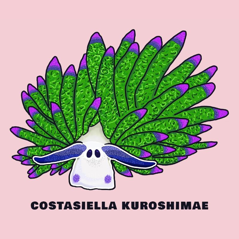Escargot De Mouton Feuille, Dessin