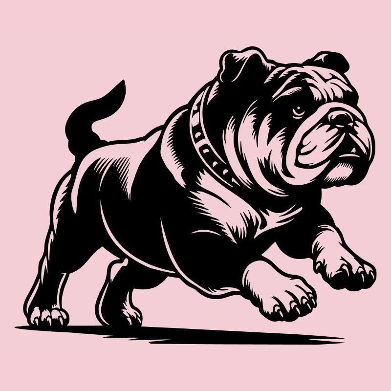 Bouledogue anglais